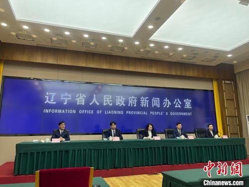 辽宁擘画县域经济新蓝图 2025年综合实力与发展活力跃升，经济信息咨询赋能关键路径