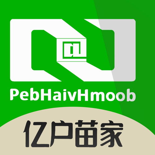 云南亿户苗家信息技术有限公司 深耕经济信息咨询，助力区域发展